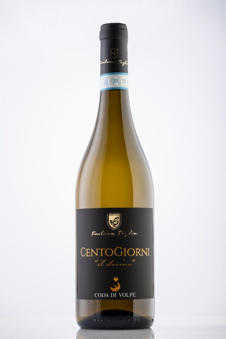 CENTOGIORNI