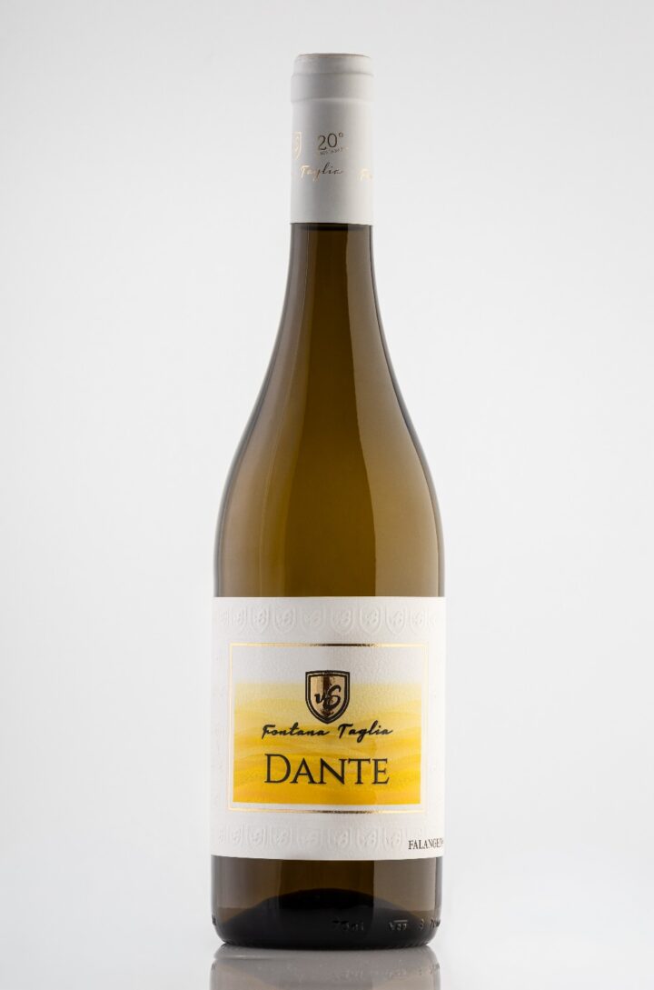 IMG-20250917-WA0008 DANTE